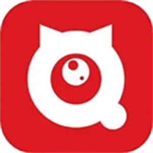 全民严选app
