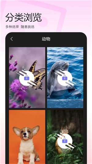 百变换壁纸-1 百变换壁纸