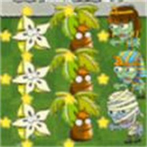 疯狂植物僵尸