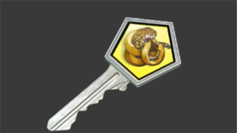 csgo手游
