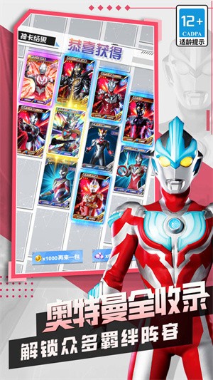 放置卡牌大乱斗