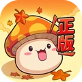 冒险岛联盟的意志