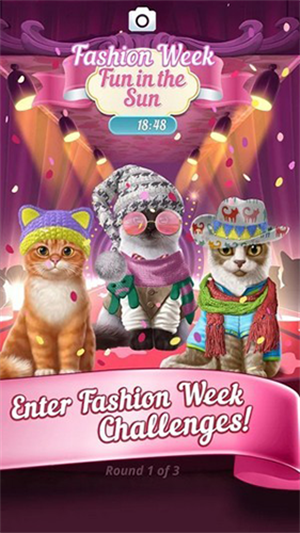 可爱的小猫-4 可爱的小猫