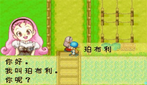 牧场物语矿石镇的伙伴们-3 牧场物语矿石镇的伙伴们