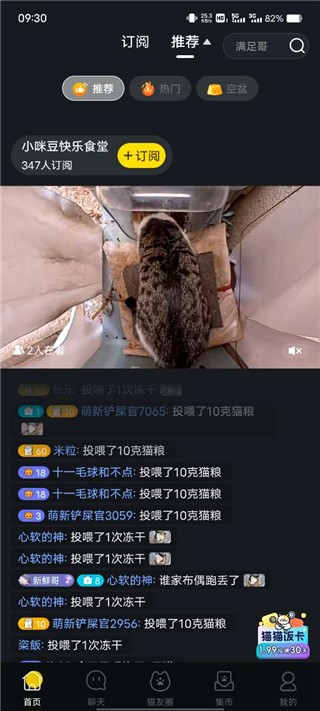 街猫-2 街猫