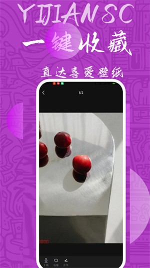 量岛壁纸-3 量岛壁纸